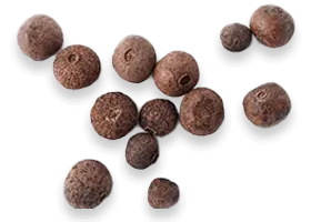 Ingredient2